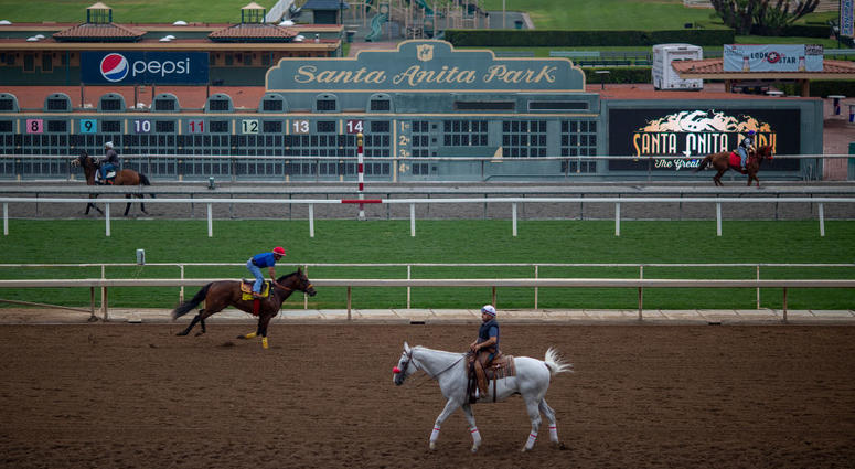Race horses are seen during their morning workout at Santa Anita Park racetrack on June 15, 2019 in Arcadia, California. Santa Anita Park racetrack