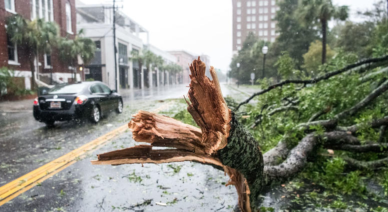 A car rives around a fallen tree branch on Calhoun St on September 4, 2019 in Charleston, South Carolina. Hurricane Dorian is just off coast of South Carolina. A car rives around a fallen tree branch on Calhoun St on September 4, 2019 in Charleston, South Carolina. Hurricane Dorian is just off coast of South Carolina.