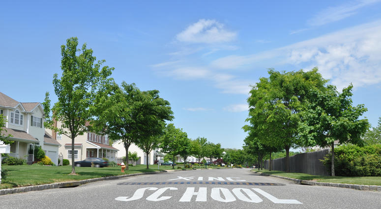 Suburban neighborhood school crossing traffic sign and speed bump on street in residential district on beautiful blue sky day. school crossiing