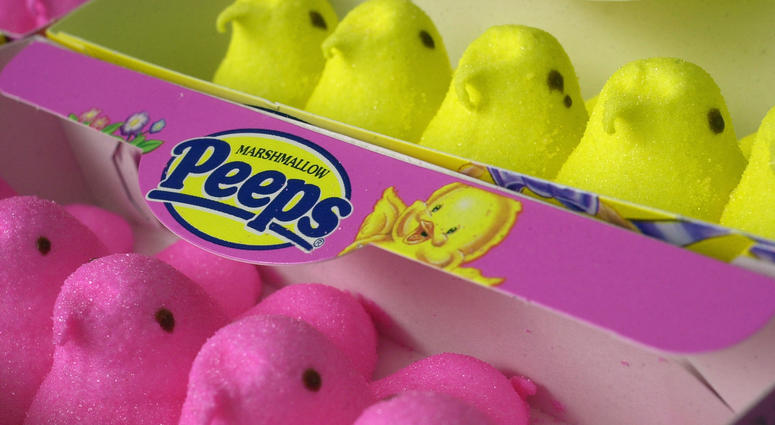 Pink and yellow Marshmallow Peeps are seen April 18, 2003 in Warminster, Pennsylvania. Marshmallow Peeps