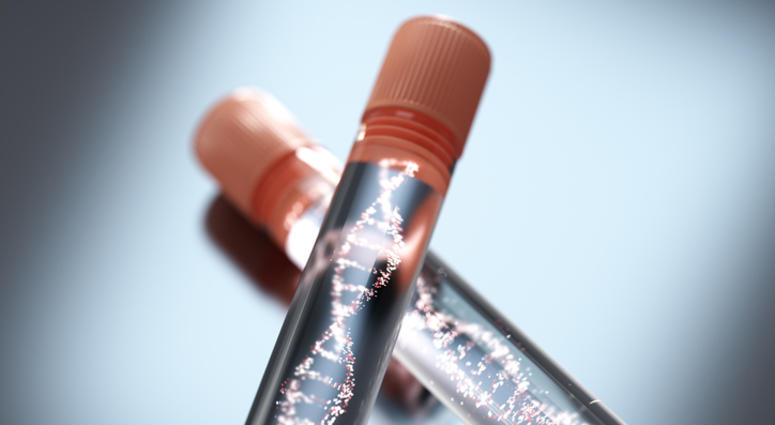 DNA.