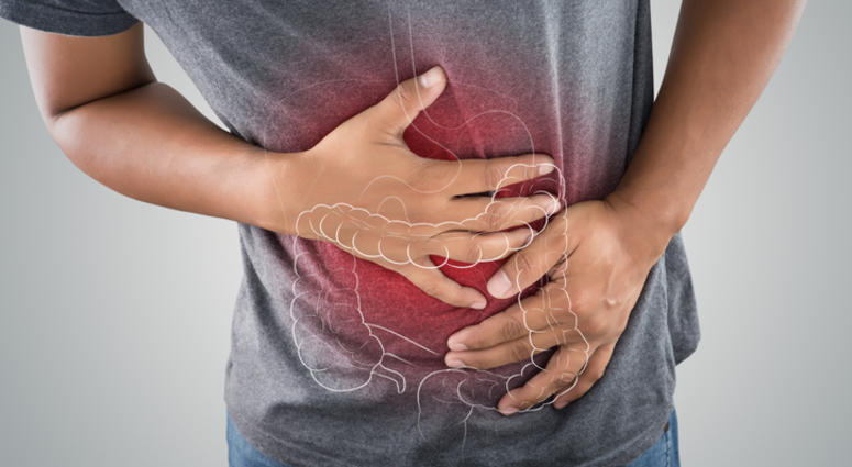 Intestine.