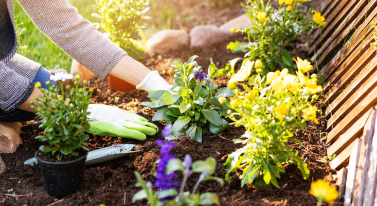Gardening. Gardening.