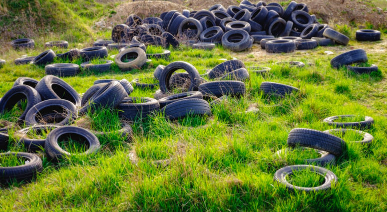 Dumped tires.