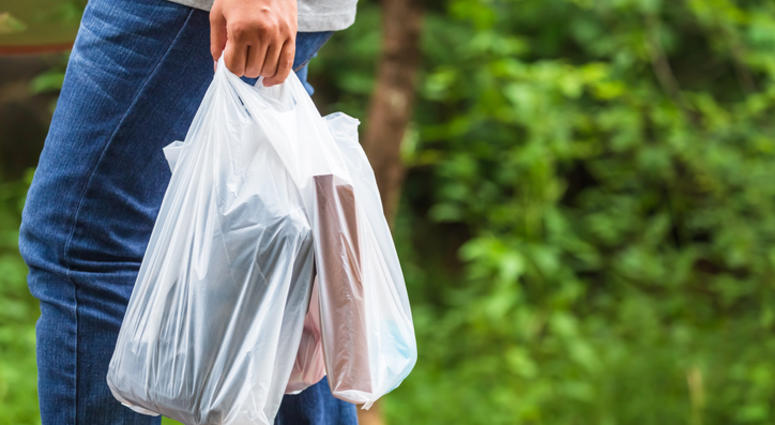 plastic bags.