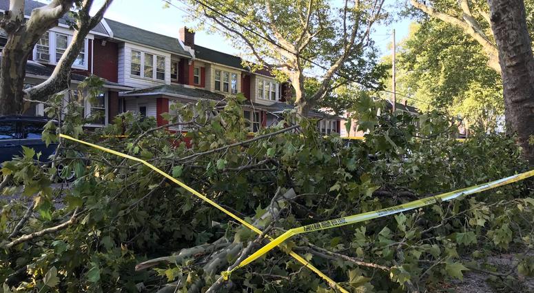 Damage from Wednesday night storms at Saul Street and Cheltenham Ave in Frankford. Damage from Wednesday night storms at Saul Street and Cheltenham Ave in Frankford.