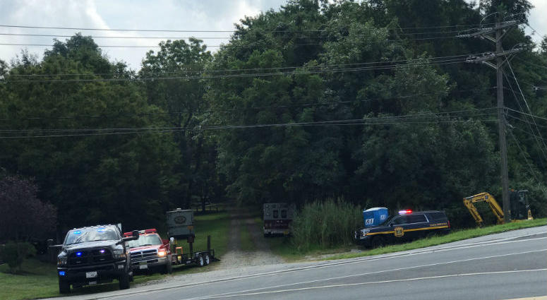 Officials say a small plane crashed into the woods in Delaware.