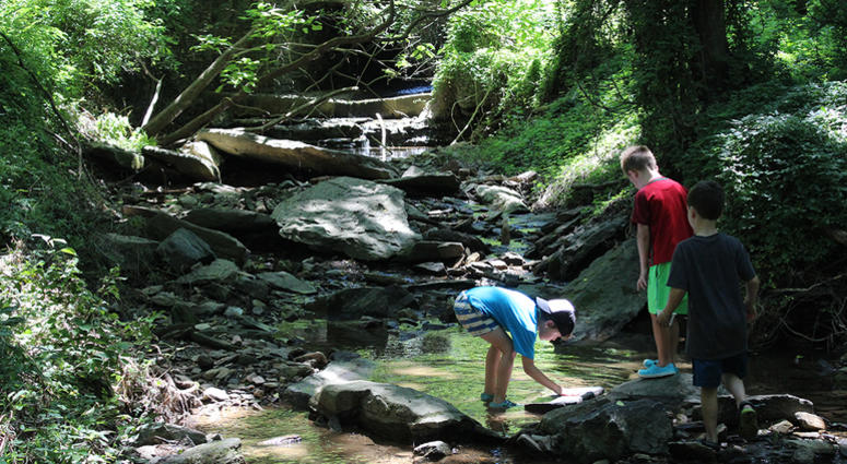 Riverbend Environmental Education Center summer program Riverbend Environmental Education Center