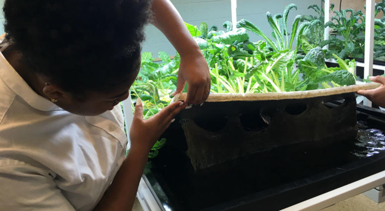 Willingboro High School junior Tamia Davidson shows visitors though the school's aquaponics lab. Willingboro High School junior Tamia Davidson