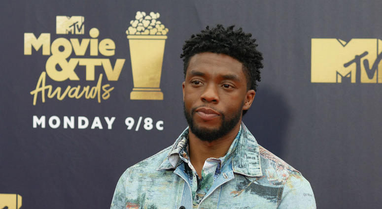 Chadwick Boseman attending the 2018 MTV Movie and TV Awards held at the Barker Hangar in Los Angeles MTV Movie And TV Awards 2018
