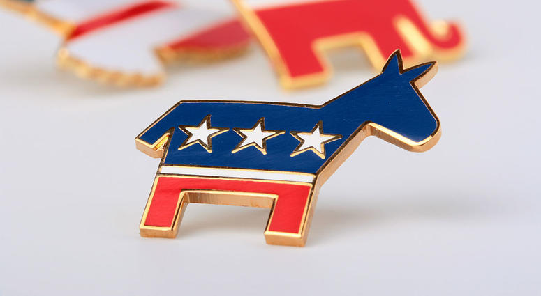 Democratic Party Democratic Party