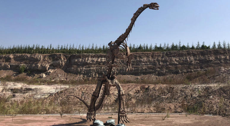 In this Sept. 12, 2018, photo, a dinosaur model stands near the site of a future dinosaur museum in Yanji, China. In this Sept. 12, 2018, photo, a dinosaur model stands near the site of a future dinosaur museum in Yanji, China.