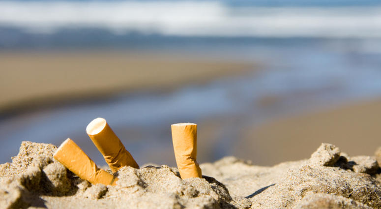 Cigarette butts on the beach Cigarette butts on the beach