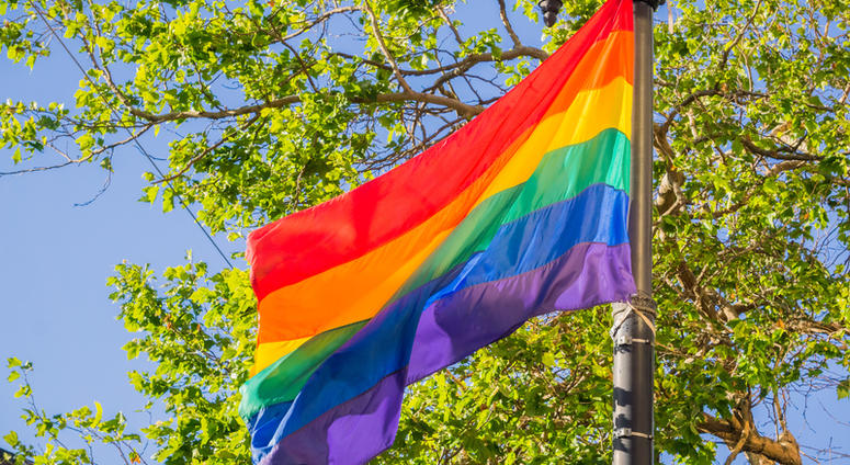 Rainbow flag. Rainbow flag.