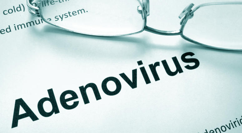 A 13th person in a Camden County pediatric facility has tested positive for adenovirus. A 13th person in a Camden County pediatric facility has tested positive for adenovirus.
