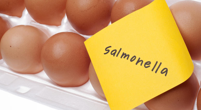 A salmonella outbreak that led to the recall of 207 million eggs has worsened Egg Recall / Salmonella Outbreak
