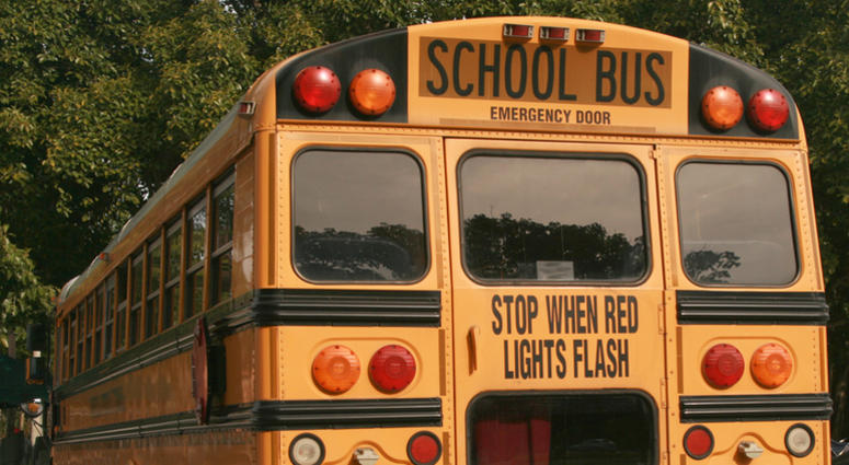 Yellow School Bus School Bus