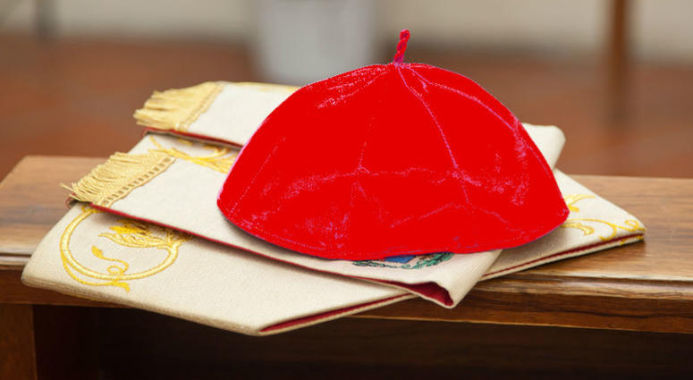 When Pope Francis recently named a class of 14 new cardinals, he bypassed U.S. clergymen, including Philadelphia's archbishop. Catholic Cardinal Red Hat