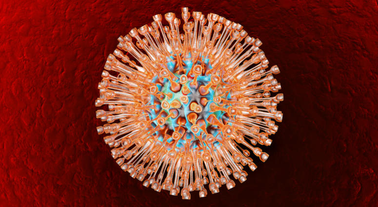 A medical visualization of a herpes virus