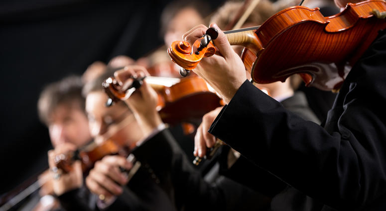 Orchestra Orchestra