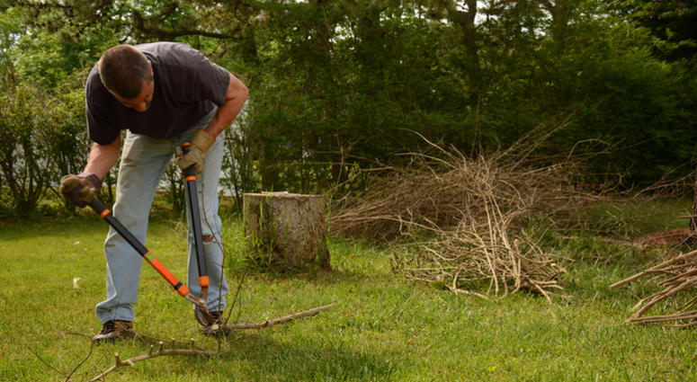 The Martin County Sheriff's Department in Florida were called by neighbors after a man was washing his car and doing yard work while completely naked. The Martin County Sheriff's Department in Florida were called by neighbors after a man was washing his car and doing yard work while completely naked.