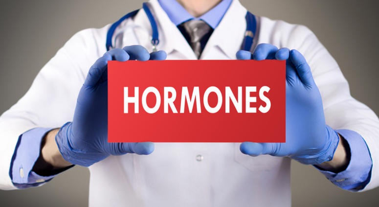 Hormones Hormones