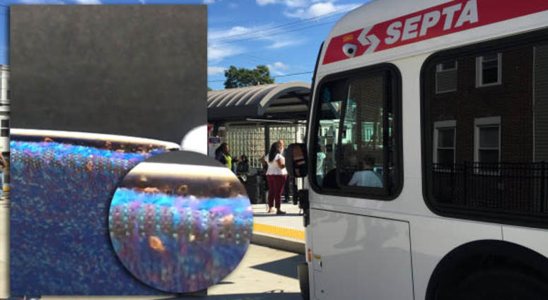 Crystal Lopez took the video on Wednesday while riding the 26 bus in Northeast Philadelphia after she noticed bugs starting to crawl on her arm. Crystal Lopez took the video on Wednesday while riding the 26 bus in Northeast Philadelphia after she noticed bugs starting to crawl on her arm.