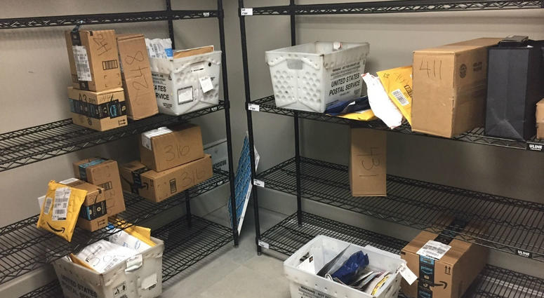 In this April 13, 2018, file photo, packages from Internet retailers are delivered with the U.S. Mail in a apartment building mail room in Washington. In this April 13, 2018, file photo, packages from Internet retailers are delivered with the U.S. Mail in a apartment building mail room in Washington.