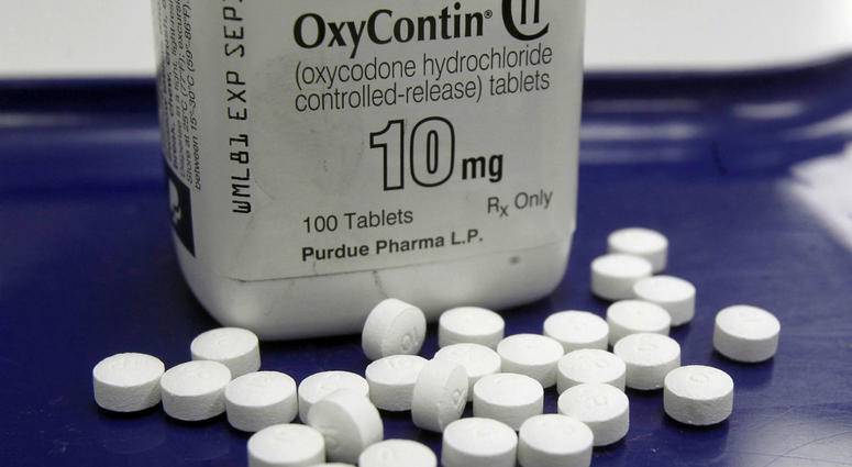 This Feb. 19, 2013, file photo shows OxyContin pills arranged for a photo at a pharmacy in Montpelier, Vt. This Feb. 19, 2013, file photo shows OxyContin pills arranged for a photo at a pharmacy in Montpelier, Vt.