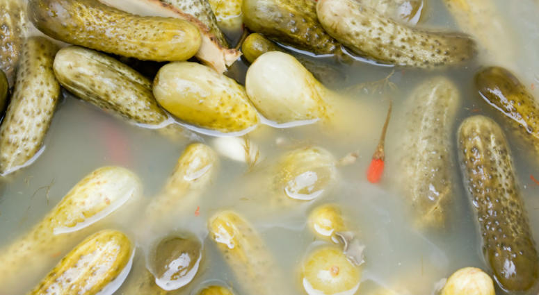 pickles in brine pickles in brine
