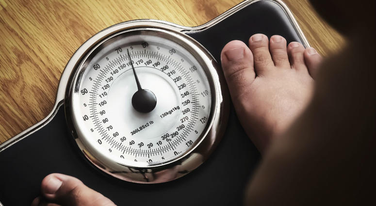 weight scale weight scale