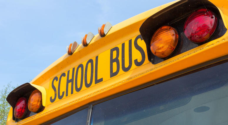 School bus School bus