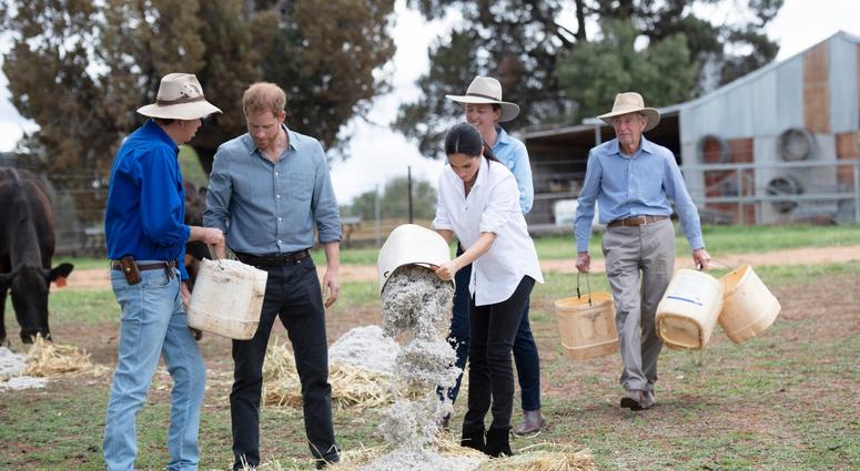 10/17/2018 - The Duke and Duchess of Sussex help feed the farm animals as they visit a local farming family, the Woodleys in Dubbo, on the second day of the Royal couple's visit to Australia. 10/17/2018 - The Duke and Duchess of Sussex help feed the farm animals as they visit a local farming family, the Woodleys in Dubbo, on the second day of the Royal couple's visit to Australia.
