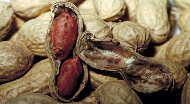 Research published Friday in the medical journal JAMA shows more than 10 percent of U.S. adults, about 26 million people, have at least one food allergy. Research published Friday in the medical journal JAMA shows more than 10 percent of U.S. adults, about 26 million people, have at least one food allergy.