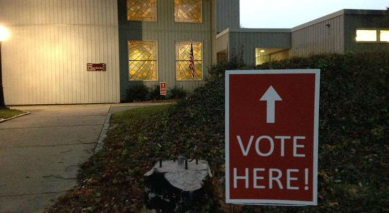 Election Polling Place Voter