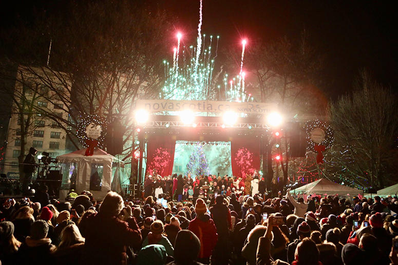 Boston Common Tree Lighting Boston Common Tree Lighting