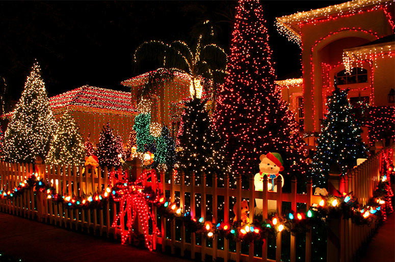 Holiday Season Holiday Season