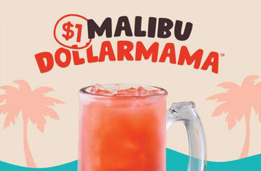 Malibu Dollarmamas Malibu Dollarmamas