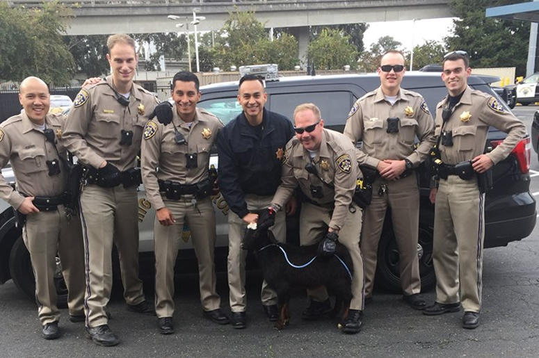California Highway Patrol and Goat California Highway Patrol and Goat (Photo credit: California Highway Patrol - Oakland)