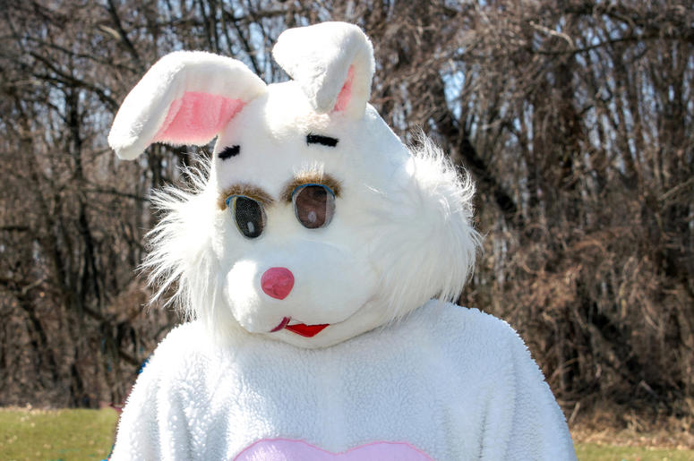 Bunny Costume A person in a bunny costume delights children during a easter egg hunt. that is one big bunny (Photo credit: Susan Sheldon/Dreamstime)