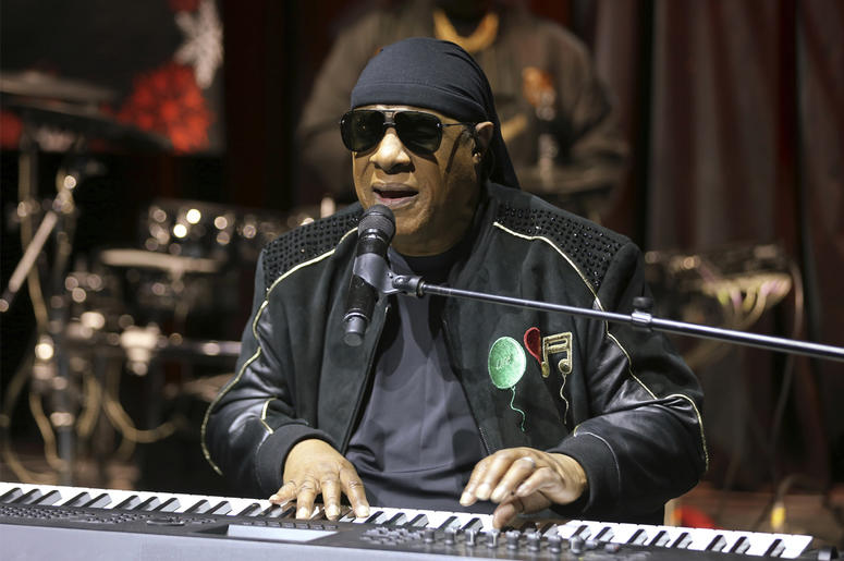 AP19188014993453 In this Tuesday, Nov. 27, 2018 file photo, Stevie Wonder performs live at the "House Full of Toys 22nd Annual Benefit Concert" press conference in Los Angeles. (Photo by Willy Sanjuan/Invision/AP, File)