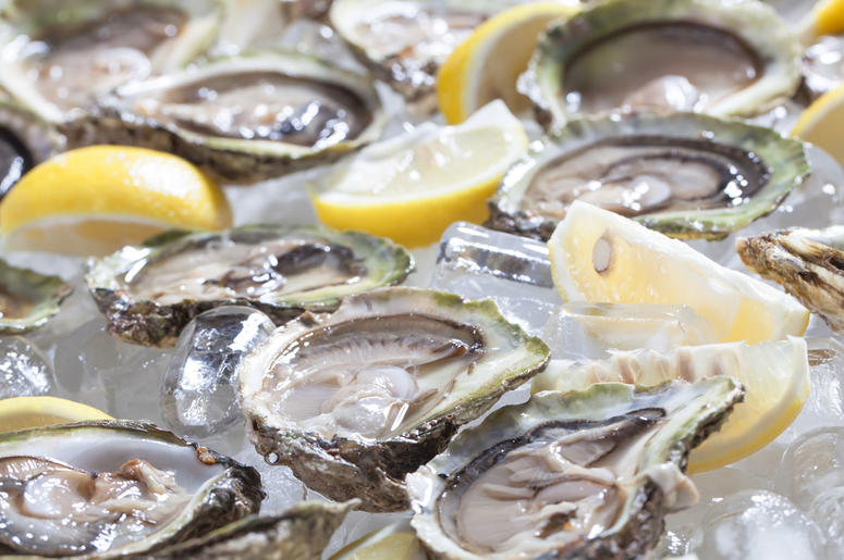 Oysters Oysters