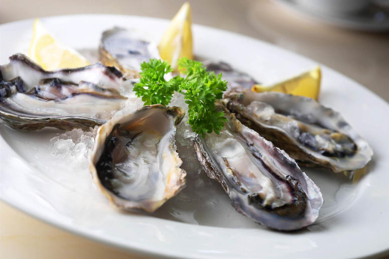 Oysters Oysters