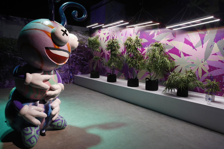 AP18263115261528 In this Tuesday, Sept. 18, 2018 photo, fake marijuana plants are on display at the Cannabition cannabis museum in Las Vegas. The museum celebrating all things cannabis with displays that include a glass bong taller than a giraffe and huggable faux marijua