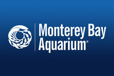 Monterey Bay Aquarium Monterey Bay Aquarium
