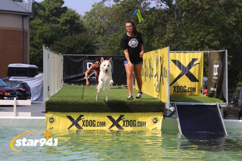 Woofstock Smyrna 2019 Woofstock Smyrna 2019