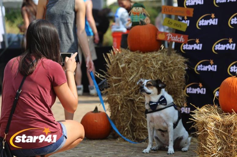 Woofstock Smyrna 2019 Woofstock Smyrna 2019