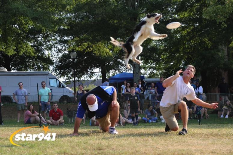 Woofstock Smyrna 2019 Woofstock Smyrna 2019