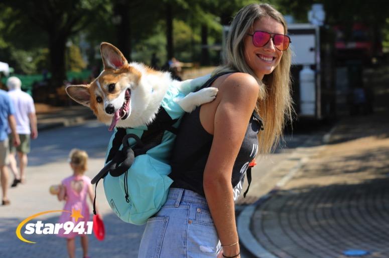 Woofstock Smyrna 2019 Woofstock Smyrna 2019