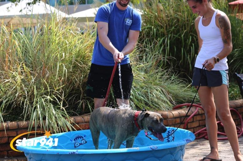Woofstock Smyrna 2019 Woofstock Smyrna 2019